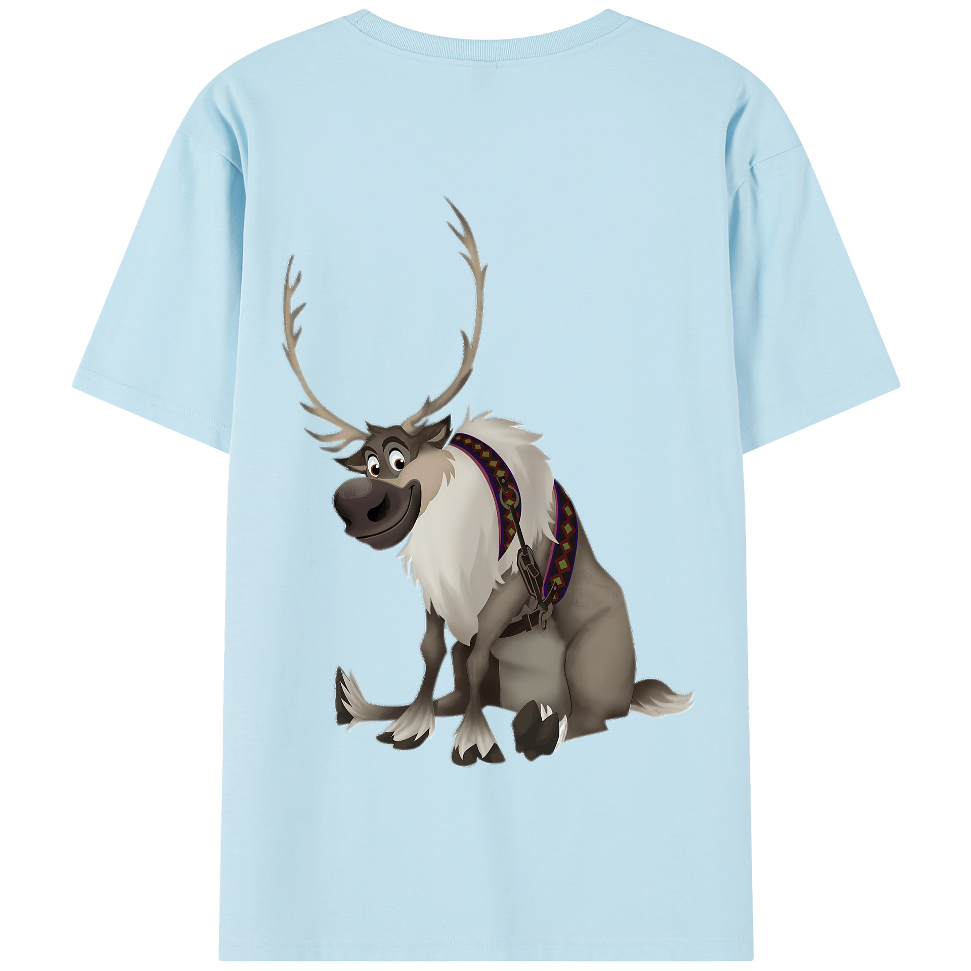 （画像用） アナと雪の女王 アンナ エルサ Frozen Anna Elsa 綿100％半袖Tシャツ（背面プリント）